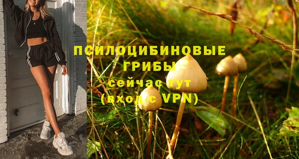дурь Алексин