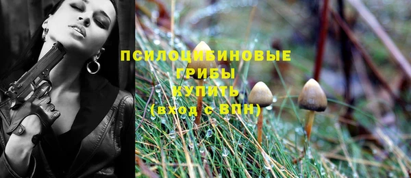 дурь Алексин