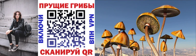 Галлюциногенные грибы GOLDEN TEACHER  Энгельс 